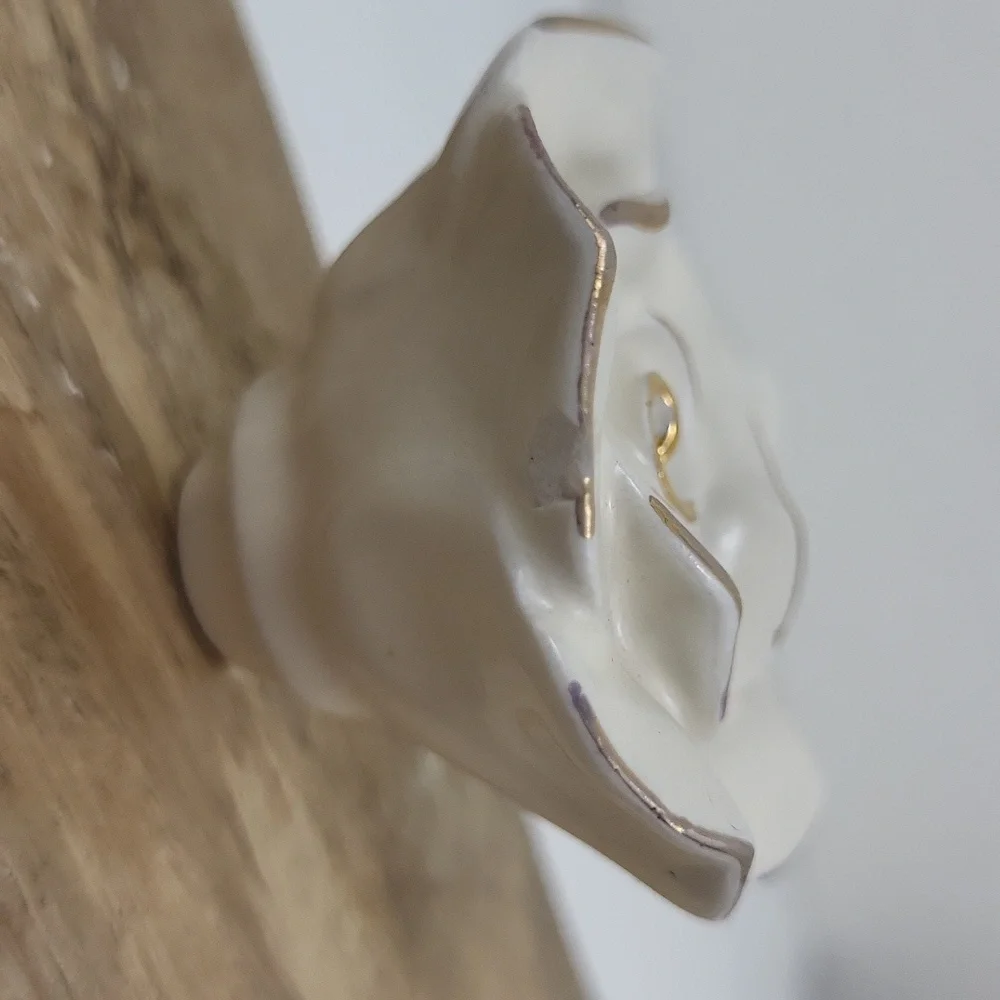 Home Goods Decorative Roses Wall hooks